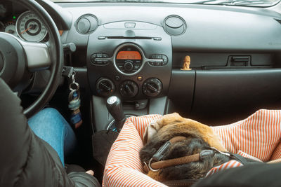 Midsection of man with dog in car