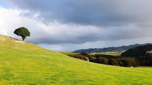 Scenic view of field against sky
