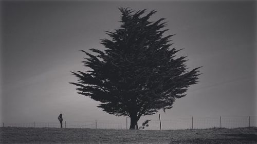 Silhouette man standing by tree on field against clear sky