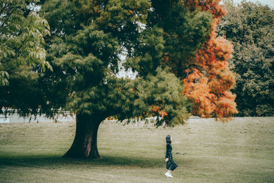 Woman walking by tree in park during autumn