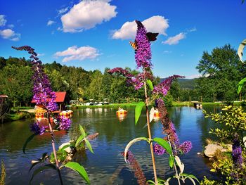 Scenic view of lake against cloudy sky