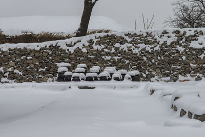 Trees on snow covered landscape