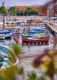 View of fishing boats moored at harbor