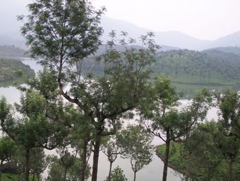 Scenic view of tree by mountain against sky