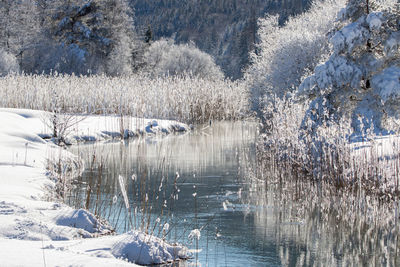 Scenic view of frozen lake