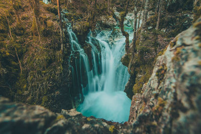 Scenic view of waterfall in forest