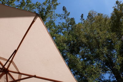Low angle view of trees against blue sky