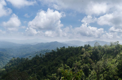 Scenic view of trees and mountains against sky