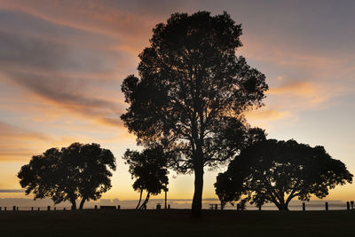 Silhouette trees on field against sky during sunset