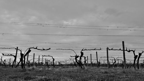 View of landscape against cloudy sky