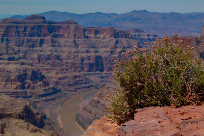 Scenic view of landscape