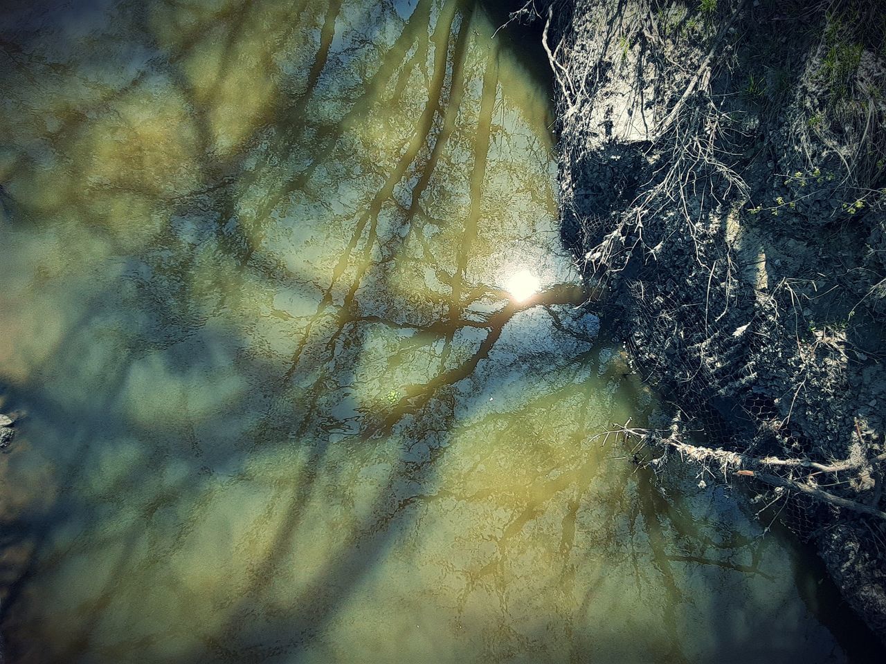 FULL FRAME SHOT OF TREE TRUNK WITH ROCKS