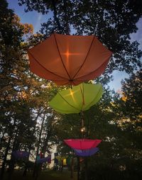 Low angle view of lanterns hanging on tree against sky