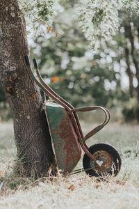 Rusty wheelbarrow by tree trunk on field
