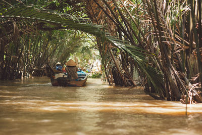 Person traveling in boat on river amidst palm trees