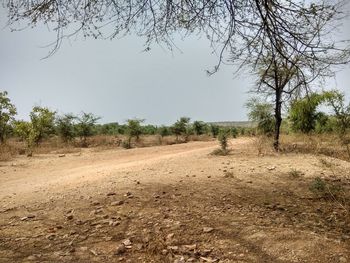 Dirt road on field against sky