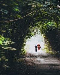 Rear view of people walking on road amidst trees in forest