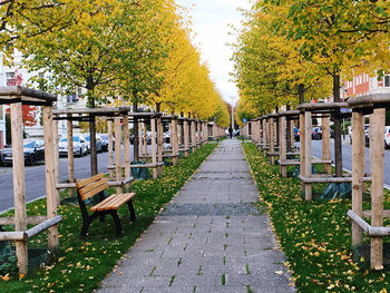 Empty footpath in park during autumn