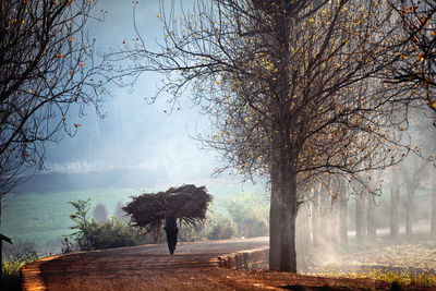 Man walking on country road