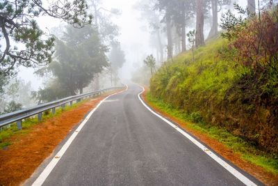 Road amidst trees against sky