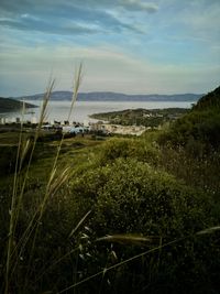 Scenic view of land against sky