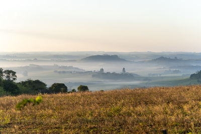 Scenic view of field against sky