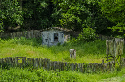 Old wooden house amidst trees and plants in forest