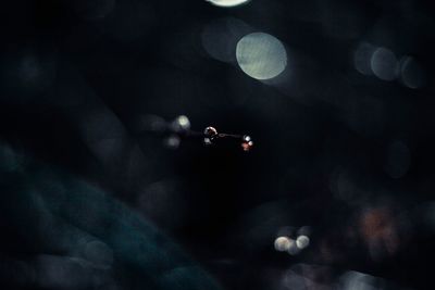 Defocused image of lights in the dark