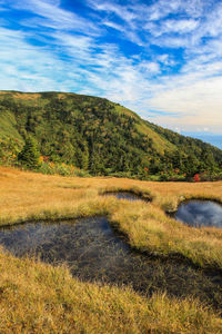 Scenic view of landscape against sky