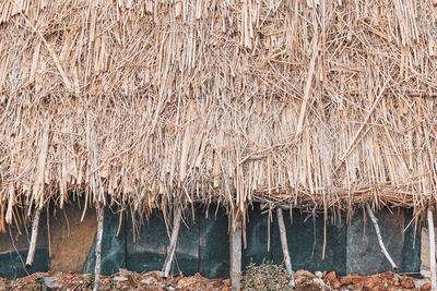 thatched roof