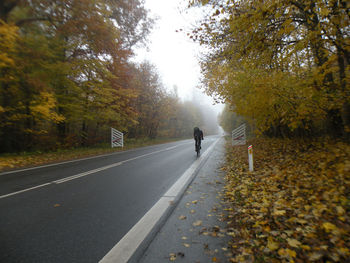 Rear view of person cycling on road amidst trees during autumn