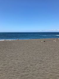 Scenic view of beach against clear blue sky