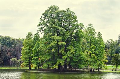 Scenic view of river against sky