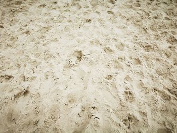 High angle view of footprints on sand at beach