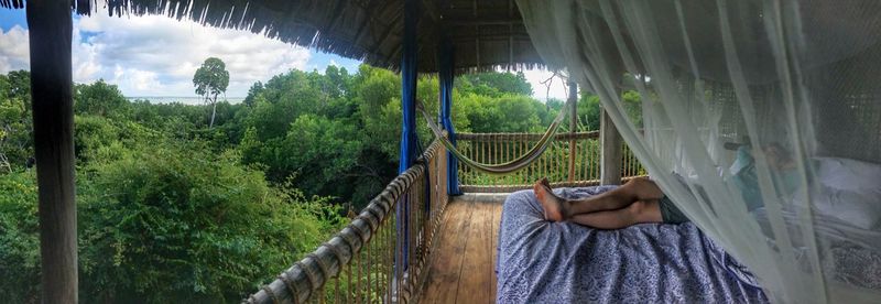 Man relaxing on hammock in forest