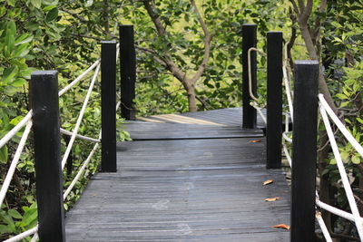 Wooden footbridge amidst trees in forest