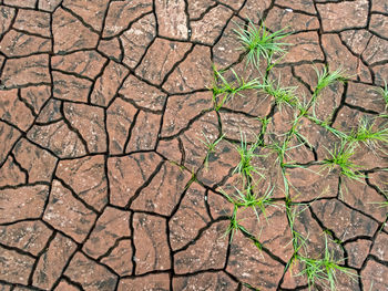 Brick pattern texture on the floor in the park it looks like cracked soil 