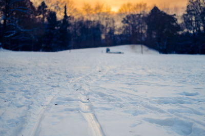 winter