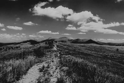 Scenic view of landscape against sky