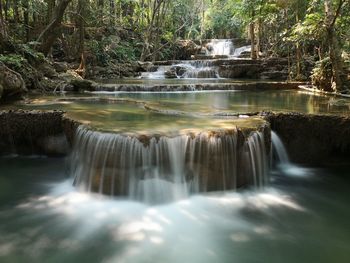 Scenic view of waterfall in forest