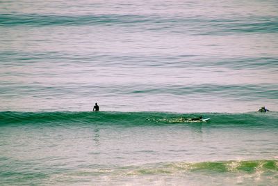 High angle view of people surfing in sea