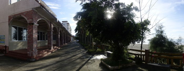 Narrow walkway along trees