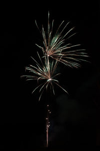 Low angle view of firework display at night