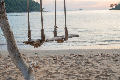 View of birds on beach