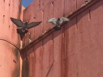 Low angle view of bird sculpture