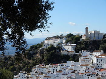 Buildings in town against clear sky