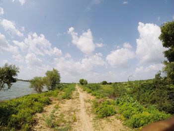 Dirt road along plants and trees against sky