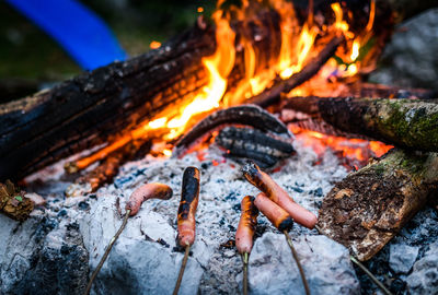 Close-up of sausages cooking on campfire