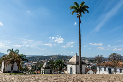 Palm trees and buildings against sky