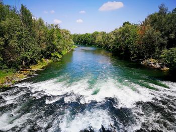 Scenic view of river amidst trees against sky